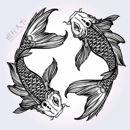 鲤鱼装饰花纹