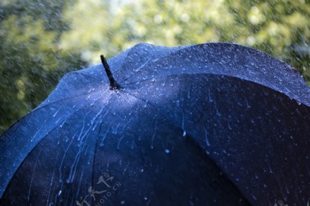 雨中的蓝色大伞图片