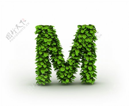 绿叶组成的字母M