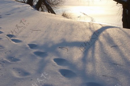 美丽雪景摄影图片