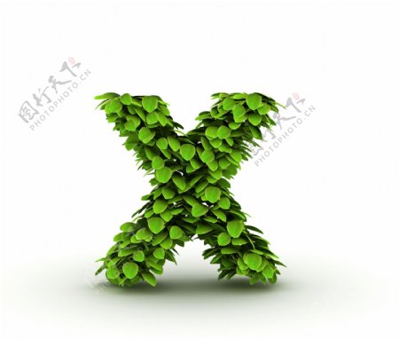 绿叶组成的字母x