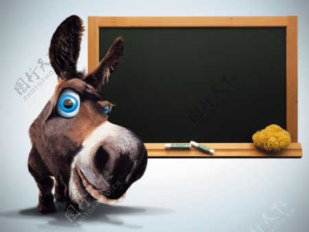 驴与黑板图片