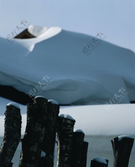 白雪皑皑的雪地特写图片
