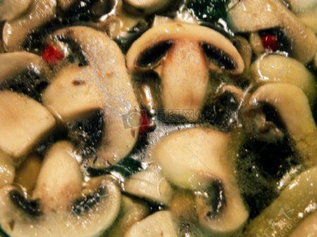 蘑菇的蔬菜汤