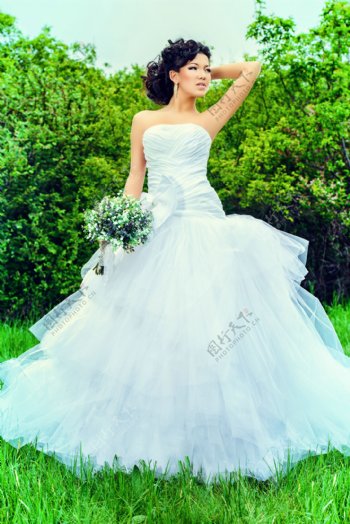 草地上的美丽新娘摄影图片