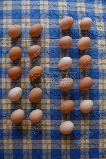 排列整齐的鸡蛋