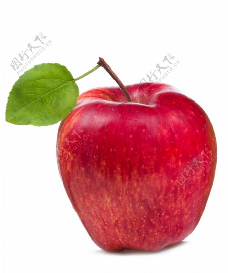 绿叶与红苹果图片