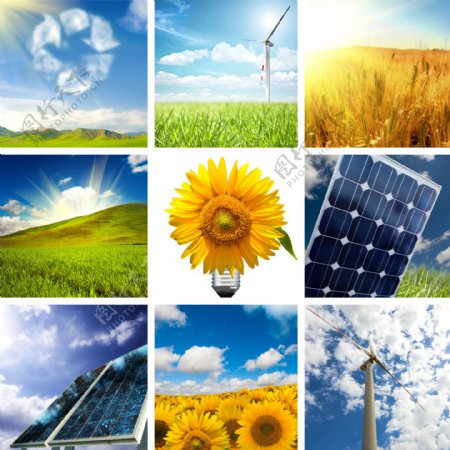 向日葵风力发电机和太阳能图片