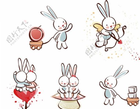 爱情兔子