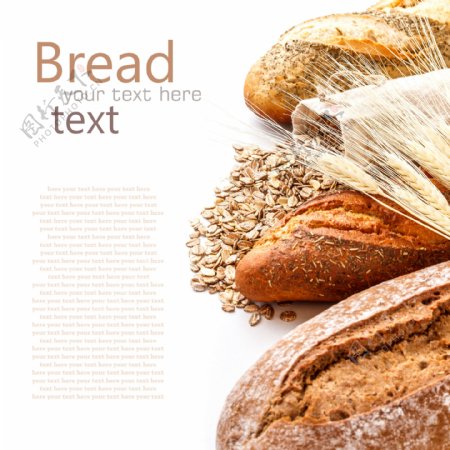 麦麸麦穗和面包背景素材图片