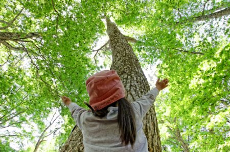 小女孩与树木风景图片