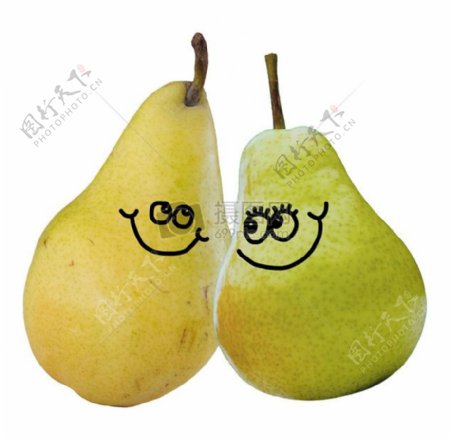 一对的的pears.jpg