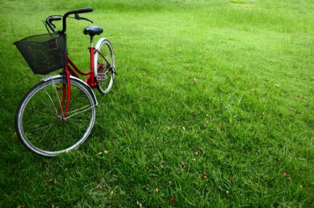 草地上有篮子的自行车图片