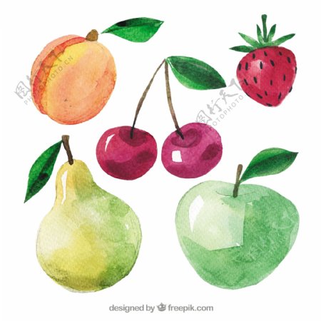 各种水彩效果水果插图
