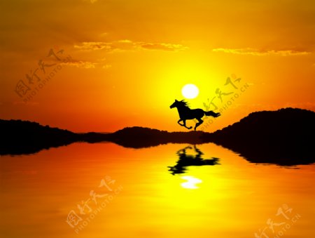 夕阳与奔跑的马匹剪影图片