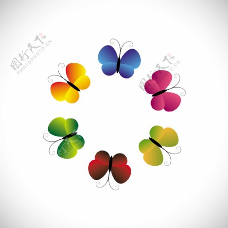 多彩的蝴蝶分布在圆形的形式