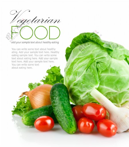 新鲜的蔬菜集合背景图片