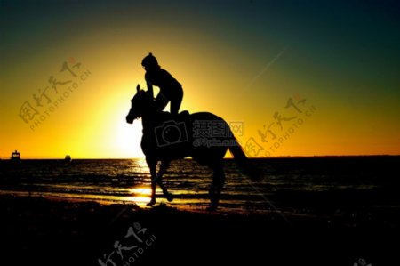 日落Sillhuou过程中马的女人