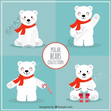 可爱的圣诞北极熊收藏