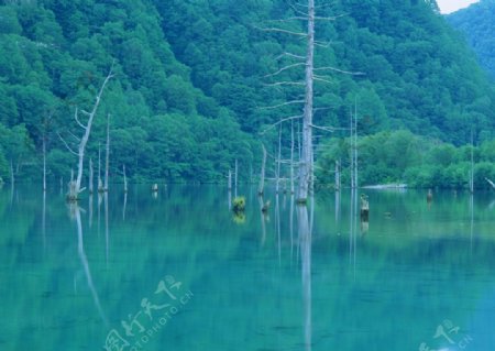 湖泊美景摄影图片