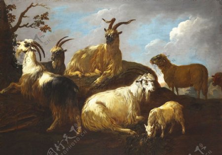 油画动物羊