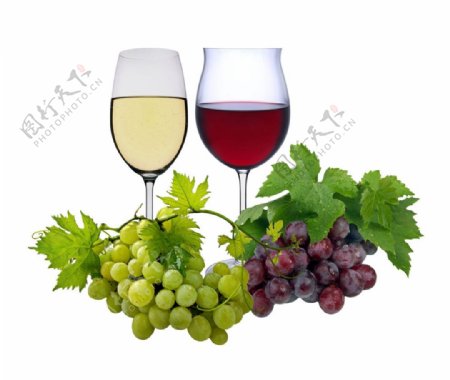 红酒与葡萄背景图片