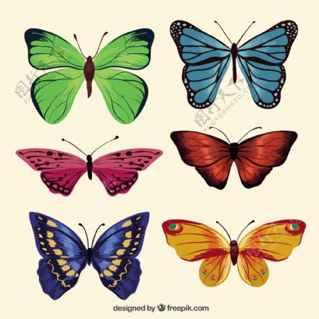在现实设计中的色彩蝴蝶