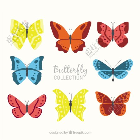 手画不同的蝴蝶