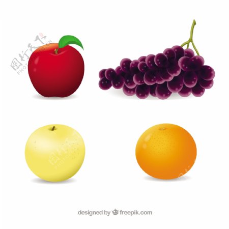 几种水果的写实设计矢量素材