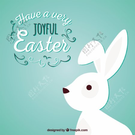 快乐的复活节与一只白色的兔子
