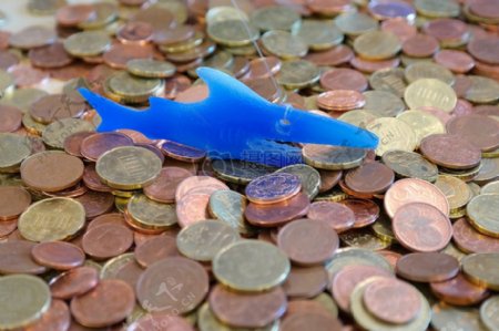 硬币堆上的钱鲨鱼玩具