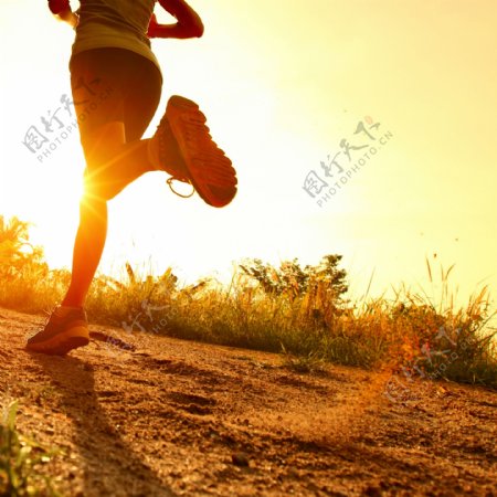 阳光下跑步运动图片
