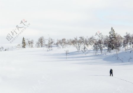 高清雪地里滑雪图片