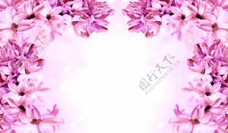 粉色炫彩花朵