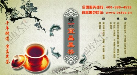 宜昌黑茶
