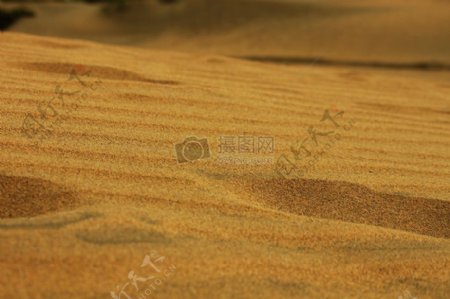 金黄色的沙子