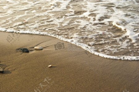 沙滩上的浪花