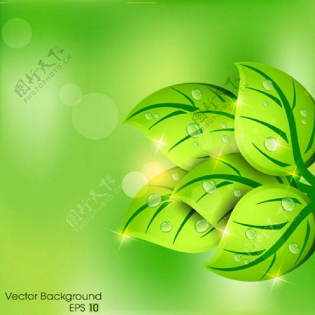 绿色叶子背景图
