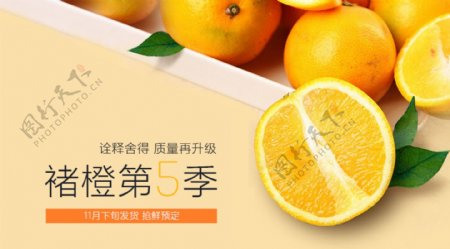 橙子banner