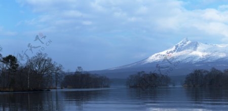雪山脚下的树木和清澈的湖水宽幅风景图片图片