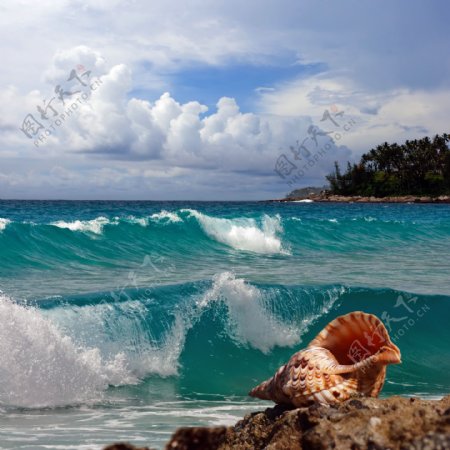 海面浪花与海螺图片