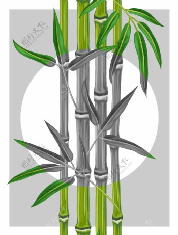 翠绿的竹子插画