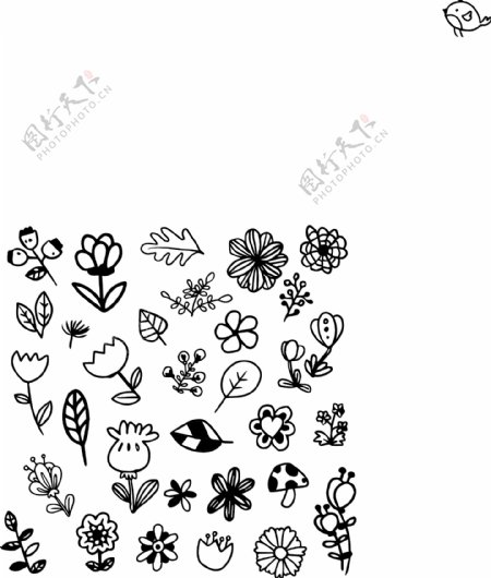 黑白鲜花插图集合