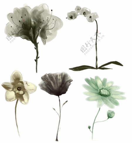 PSD源文件花朵素材水墨花朵手绘风格花朵