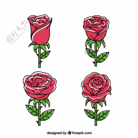 四个手绘玫瑰花插画