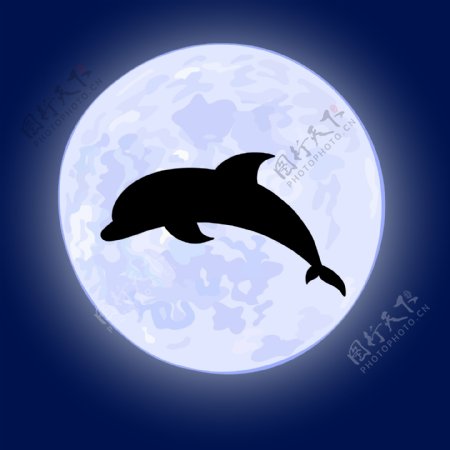 月光下的海豚