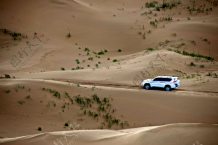 沙漠上汽车图片