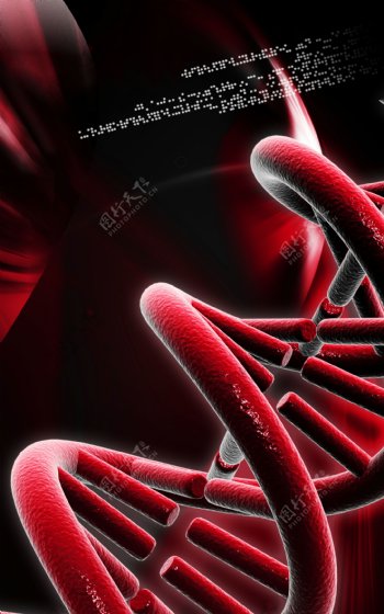 红色DNA双螺旋结构图片