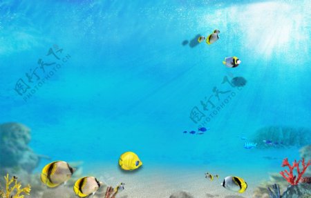 海底世界3d世界海底风景