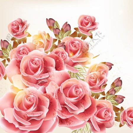 唯美粉色玫瑰花朵矢量图片